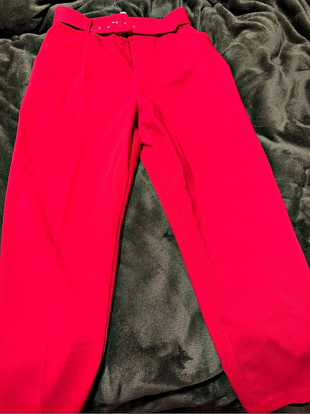 ZARA High-Waist Trousers with Belt Wide Leg Pants Pink Large